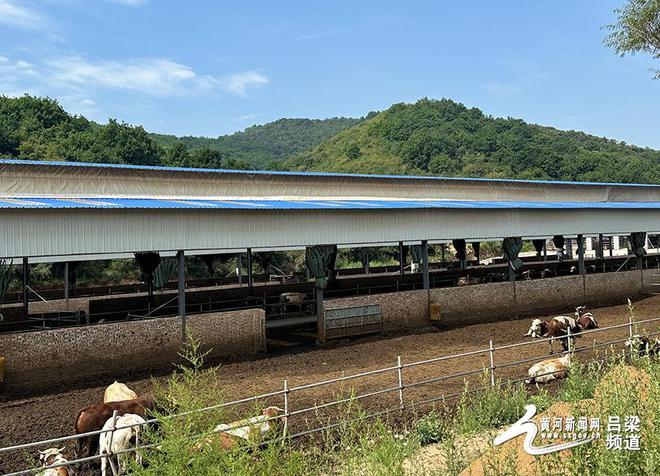 麦地坪白族乡天气预报更新通知