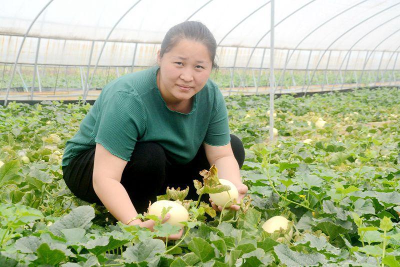 徘徊镇未来发展规划引领重塑新篇章