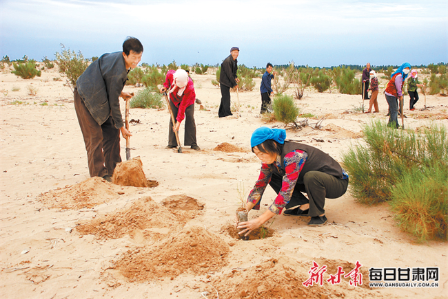 石羊河林业总场泉山分场招聘信息与职业机会深度解析