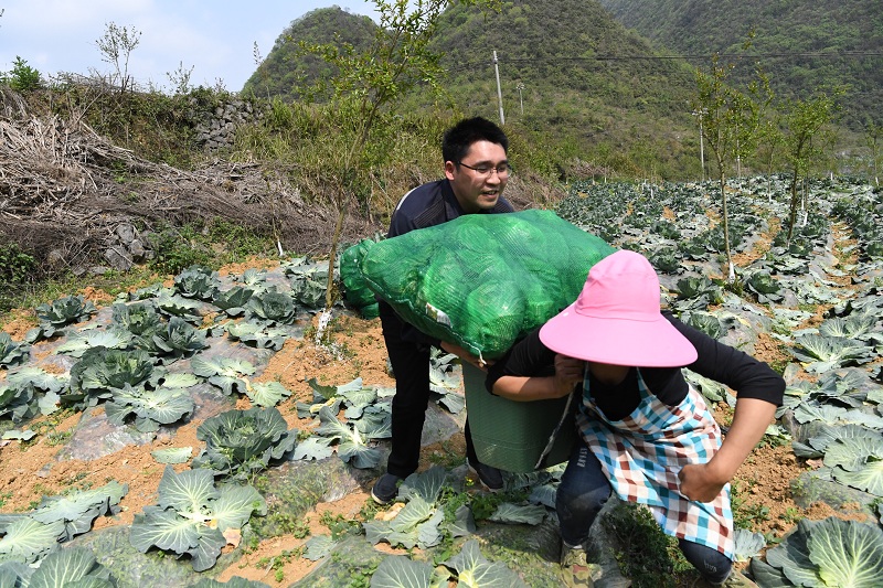 洛麦村新领导引领乡村繁荣新篇章