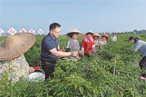 汝城县科技局等最新新闻动态概览