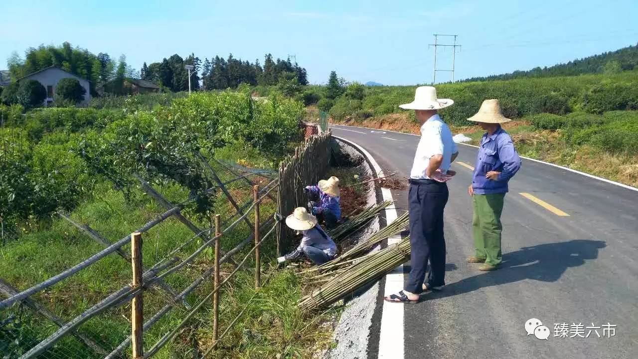 小吴乡交通新闻更新，迈向现代化交通的步伐