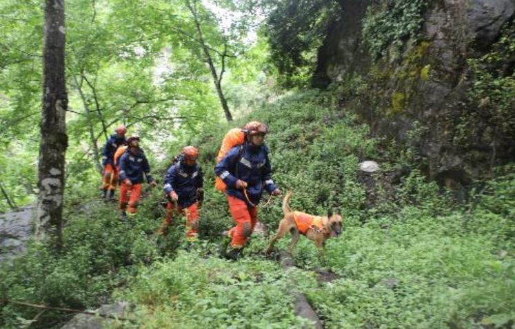 漾濞彝族自治县人民政府办公室最新项目动态及深远影响力解析