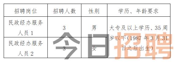 越西县人力资源和社会保障局最新招聘全解析