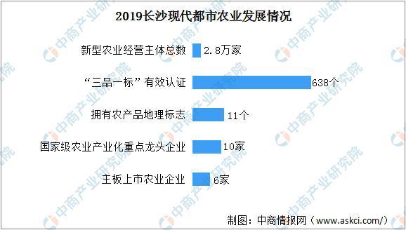 宁乡县统计局最新发展规划概览