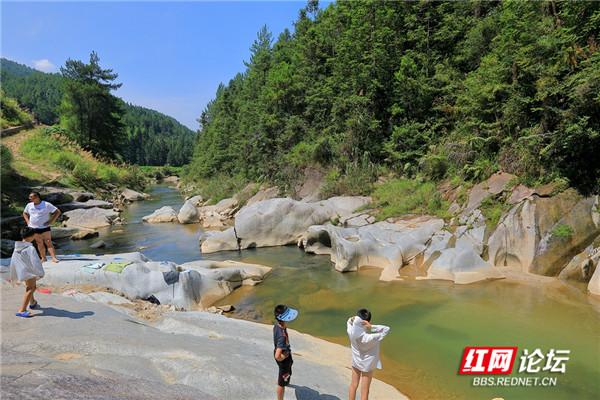 增口乡领导团队引领乡村未来，共筑新篇章