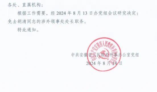 城南居委会人事任命揭晓，塑造未来社区新篇章