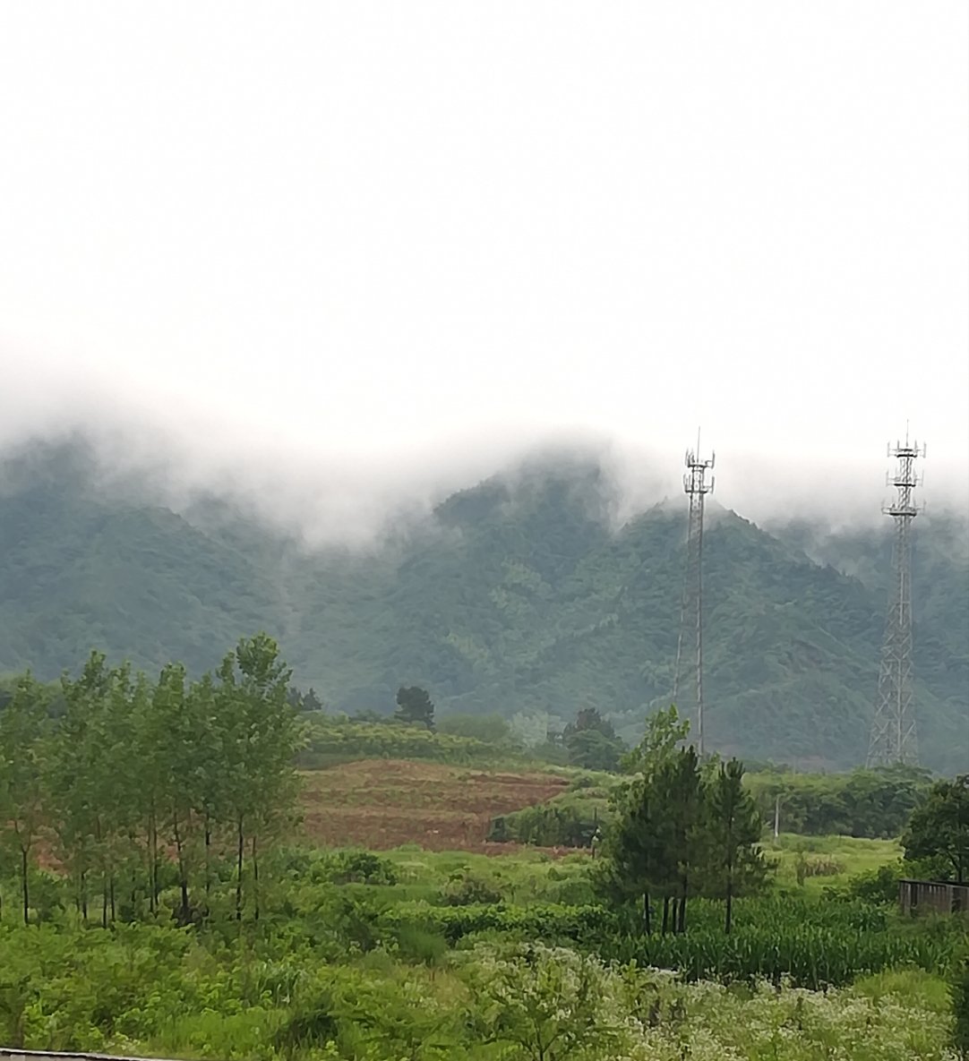 云岭乡天气预报更新通知