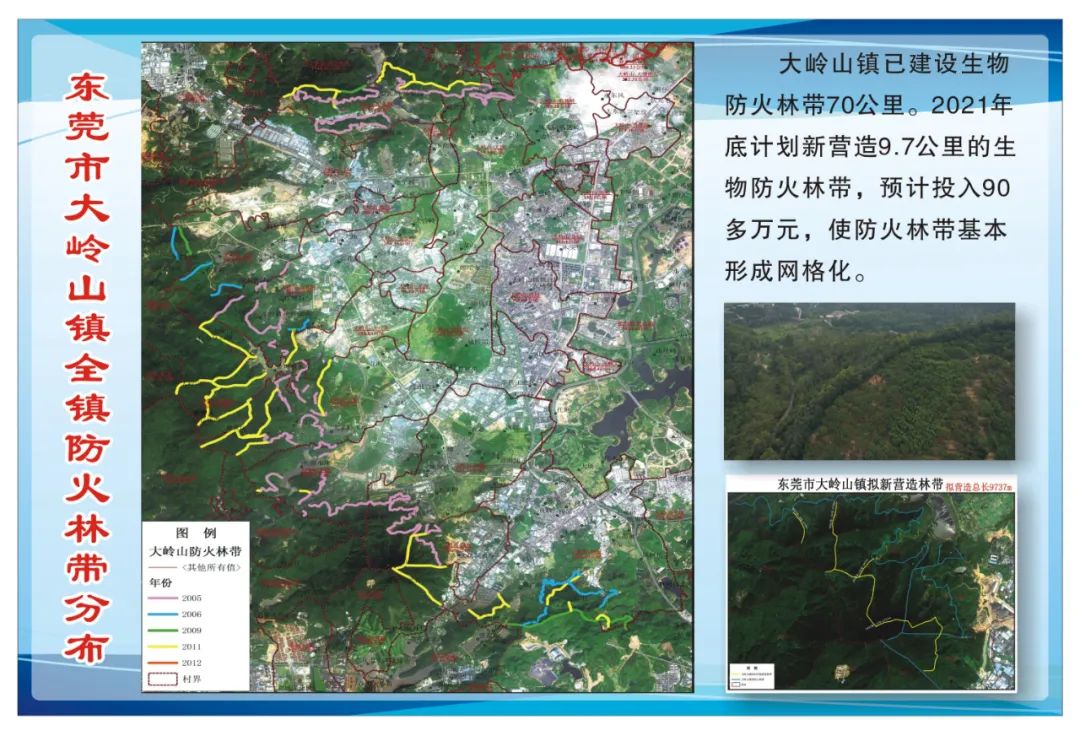 大岭林场发展规划，迈向绿色可持续发展的未来之路